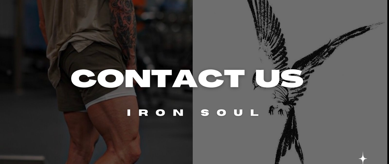 contact us iron soul